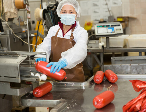 Maximizing Safety and Hygiene: The Many Uses of Disposable PPE in Food Manufacturing